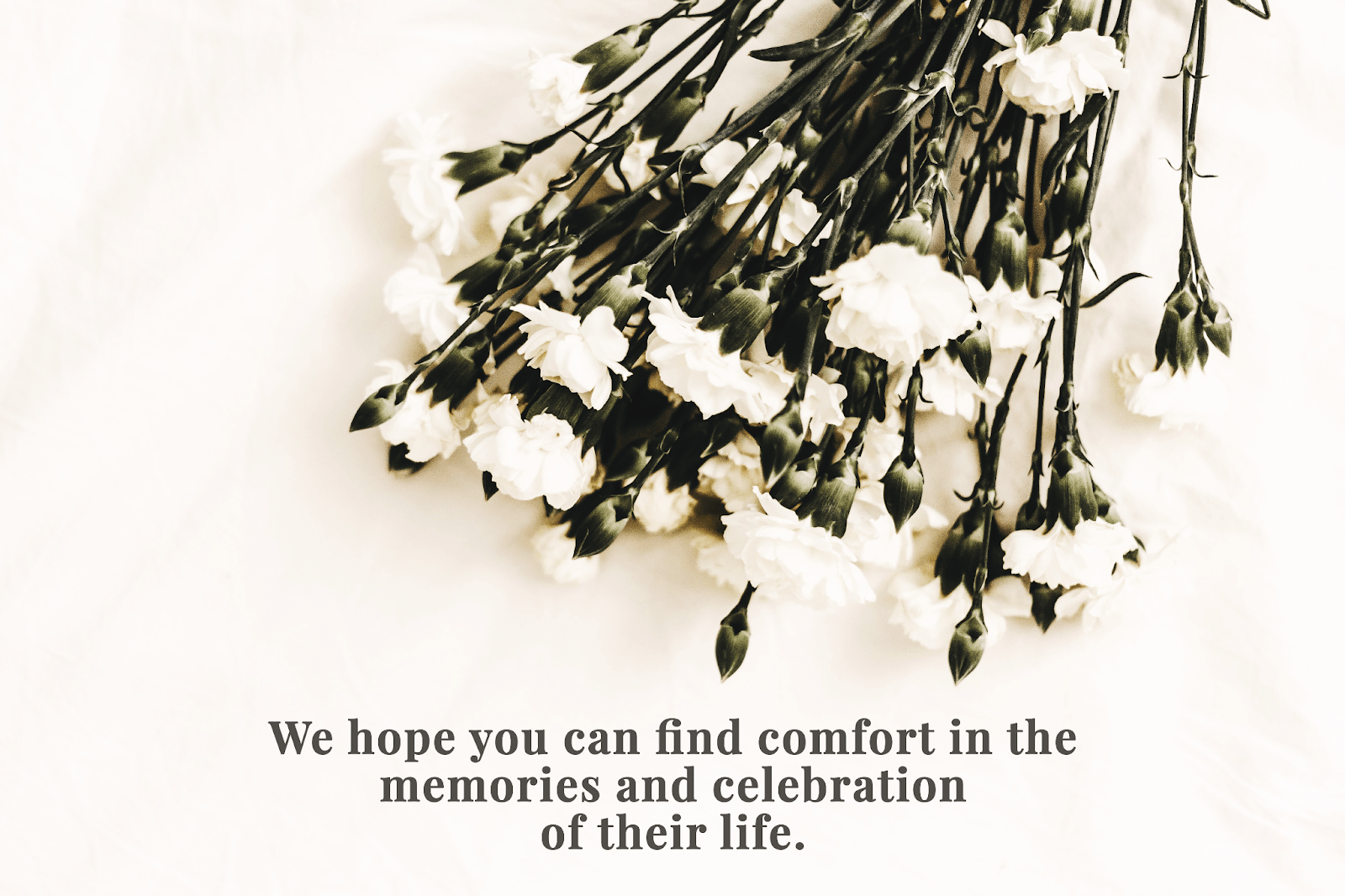 How To Send Condolences In Spanish How To Send Condolences In Spanish