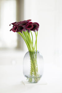 red calla lilies in a glass vase